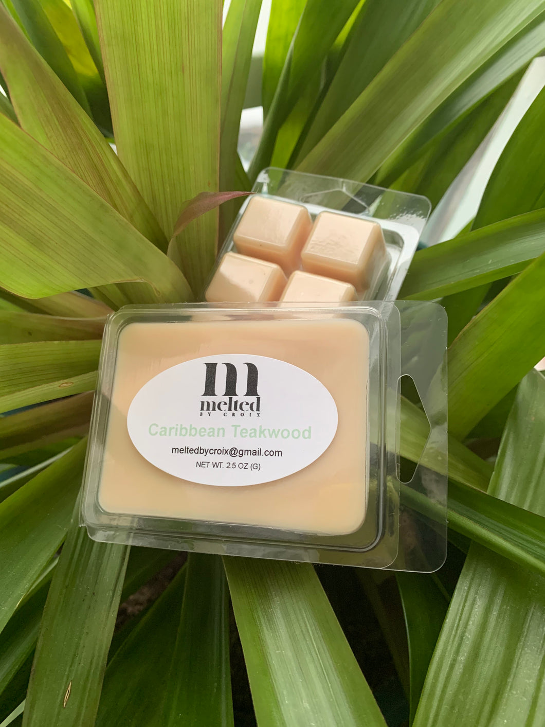 Caribbean Teakwood Wax melt